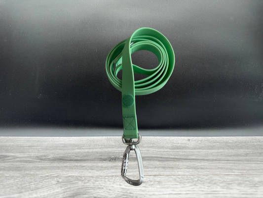 BTactical Lead - Pastel Green | PVC Extra Strong, Durable Carabiner Clip Dog Lead