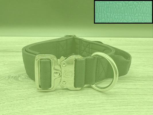 4cm BTactical Collar - Pastel Green | Durable Dog Collar