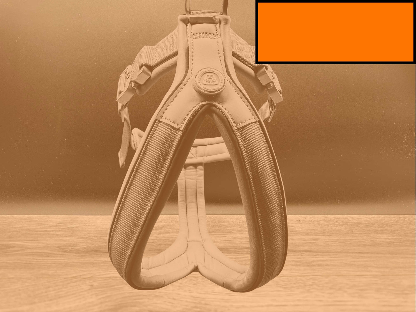 The 4cm BTactical Harness - Citrus Orange | Durable Slip on Dog Harness