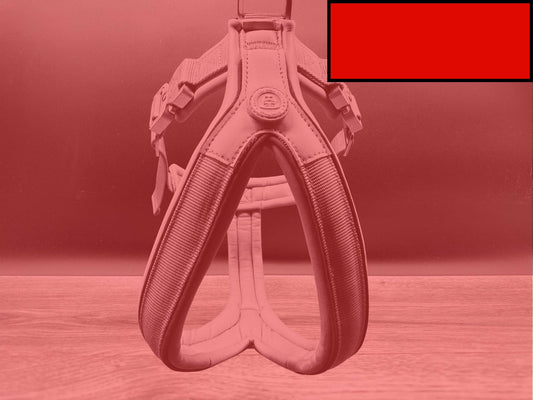 The 2.5cm BTactical Harness - Citrus Red | Durable Slip on Dog Harness