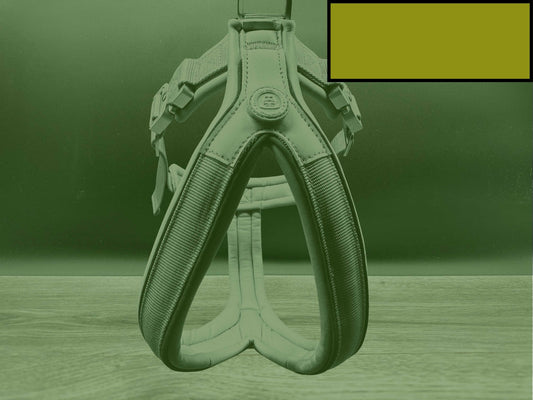 The 2.5cm BTactical Harness - Khaki Green | Durable Slip on Dog Harness