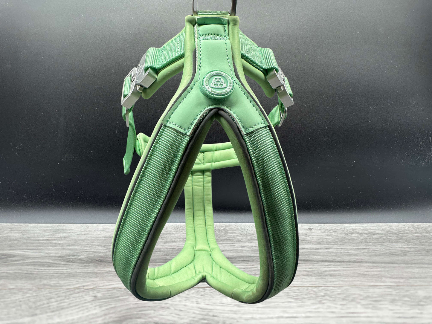 The 2.5cm BTactical Harness - Pastel Green | Durable Slip on Dog Harness