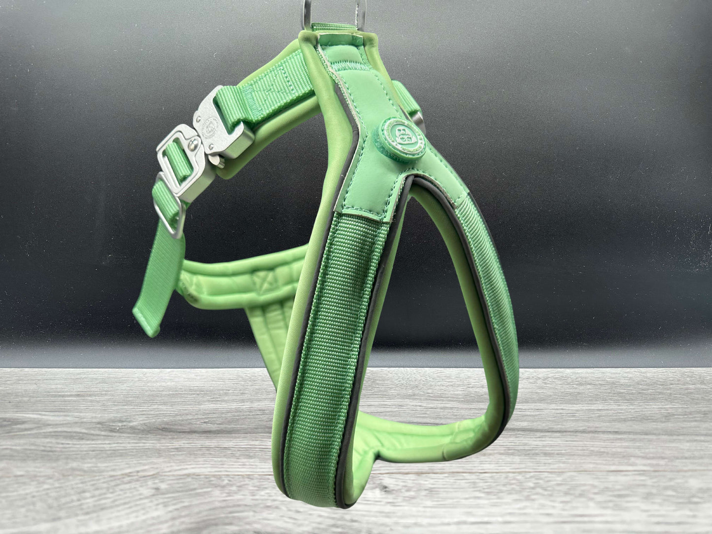 The 2.5cm BTactical Harness - Pastel Green | Durable Slip on Dog Harness