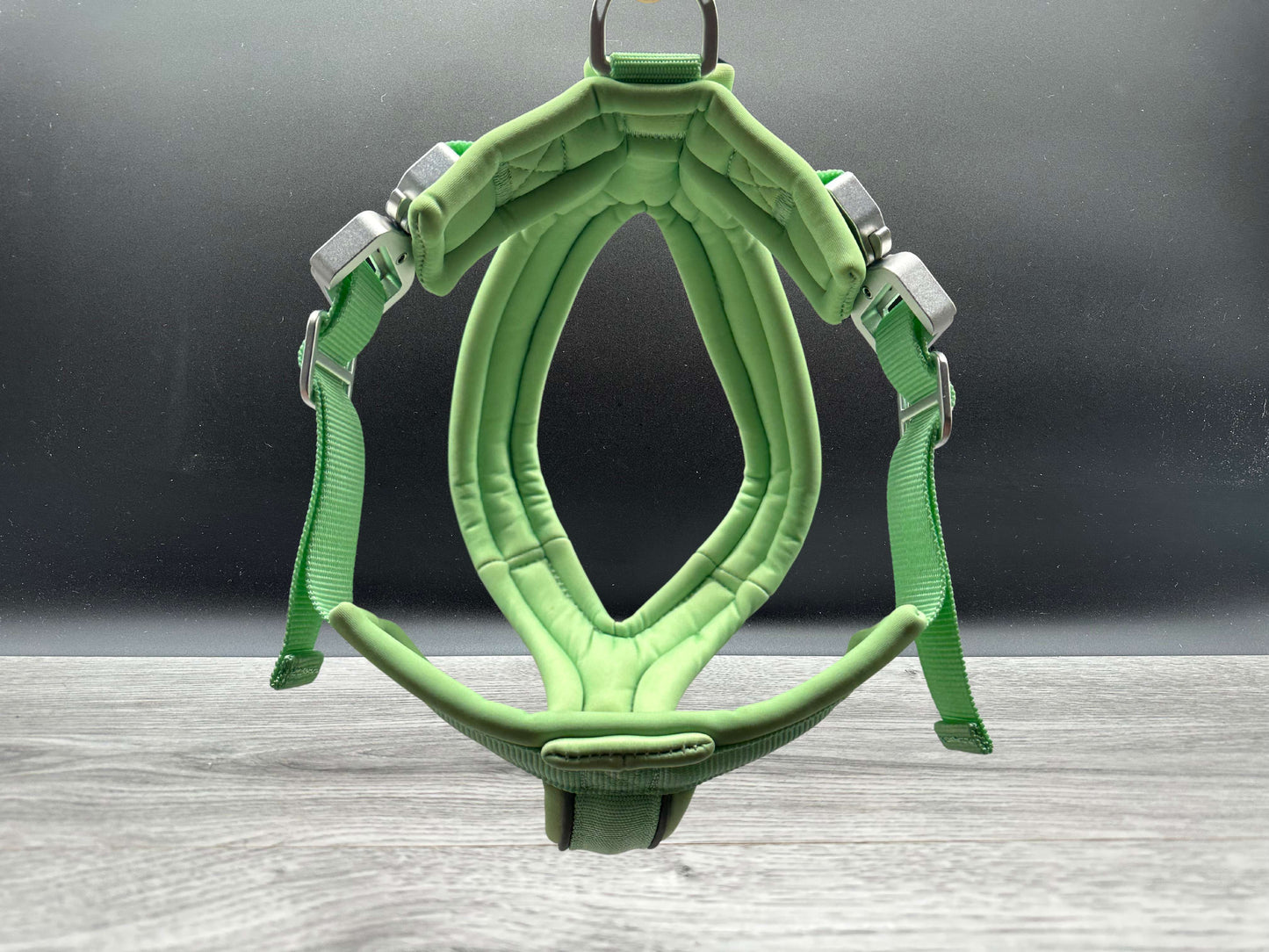 The 2.5cm BTactical Harness - Pastel Green | Durable Slip on Dog Harness