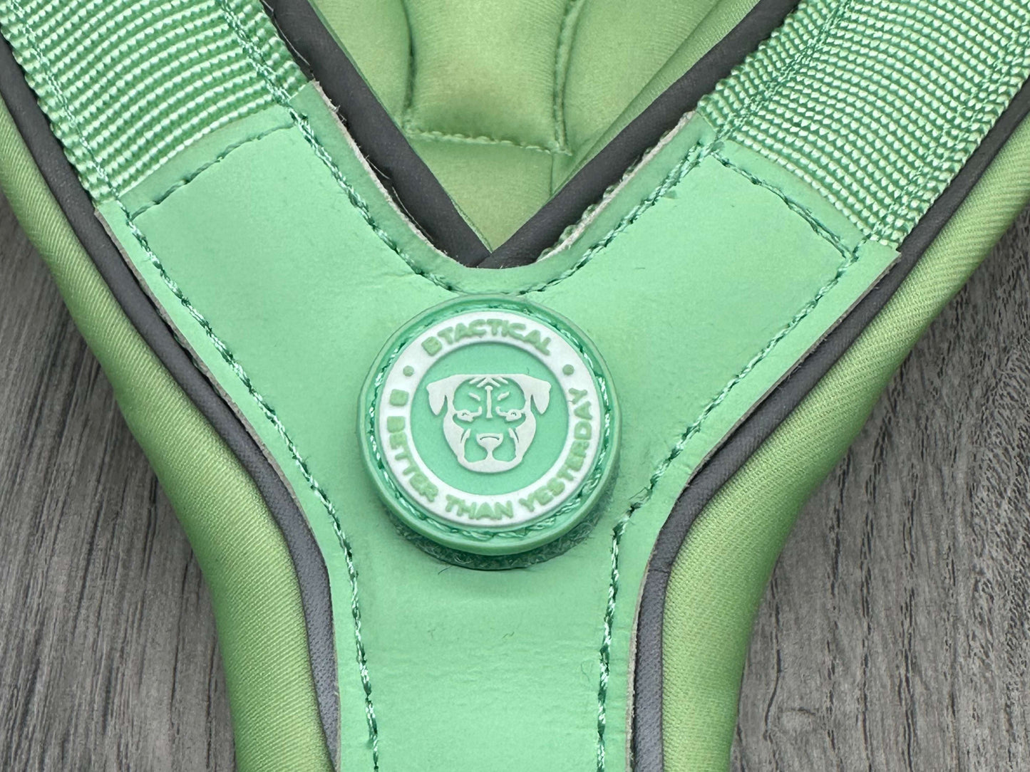 The 2.5cm BTactical Harness - Pastel Green | Durable Slip on Dog Harness