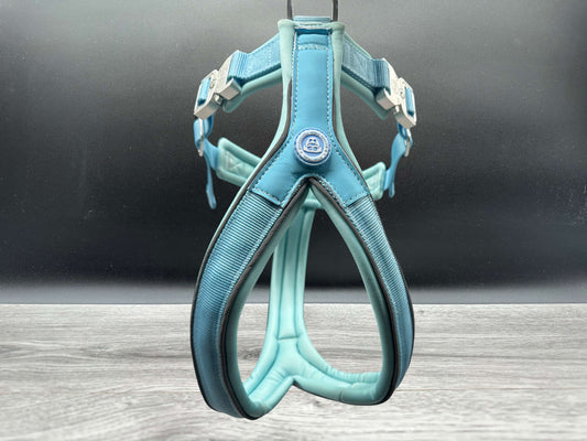 The 2.5cm BTactical Harness - Pastel Blue | Durable Slip on Dog Harness