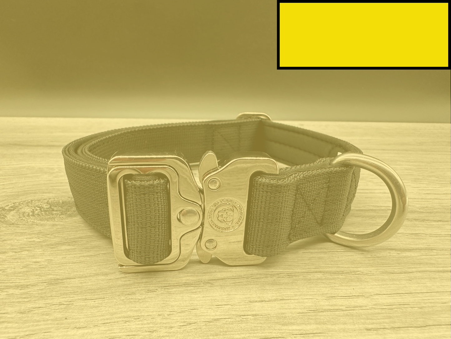 2.5cm BTactical Collar - Citrus Yellow | Durable Dog Collar