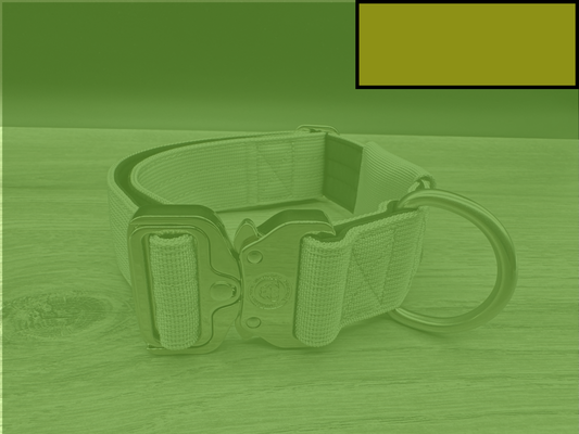 5cm BTactical Tracker Collar - Khaki Green | Durable Tracker Dog Collar