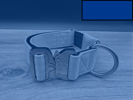 5cm BTactical Tracker Collar - Royal Blue | Durable Tracker Dog Collar