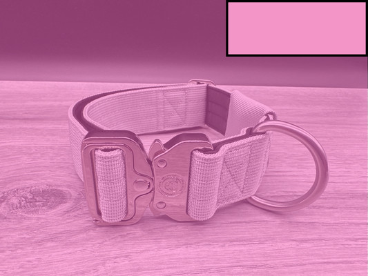 5cm BTactical Tracker Collar - Pretty Pink | Durable Tracker Dog Collar