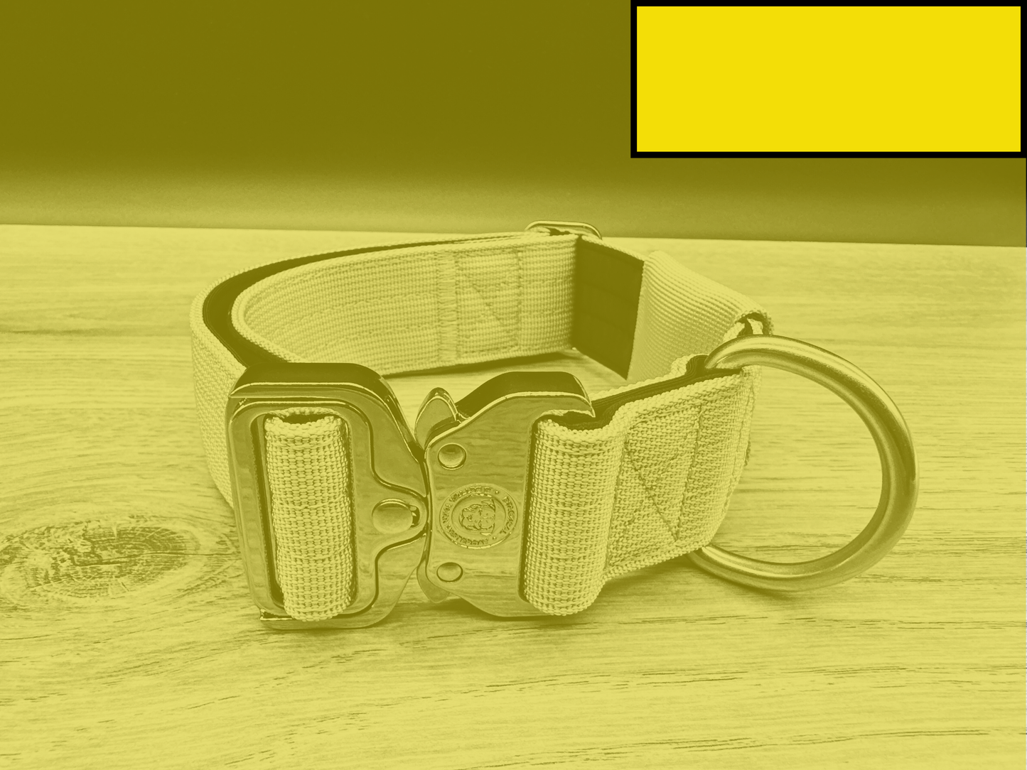 4cm BTactical Tracker Collar - Citrus Yellow | Durable Tracker Dog Collar