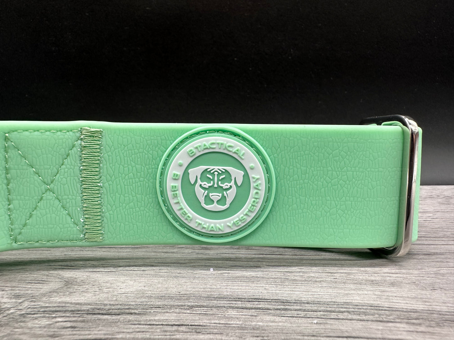 2.5cm BTactical Collar - Pastel Green | PVC Durable Dog Collar