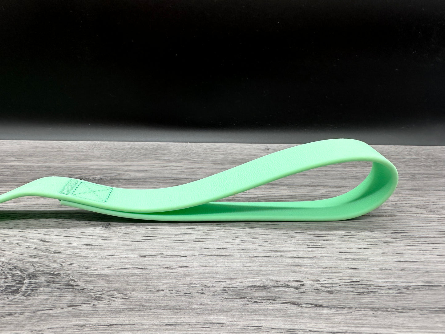 BTactical Lead - Pastel Green | PVC Extra Strong, Durable Carabiner Clip Dog Lead