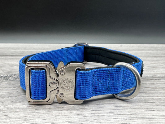 2.5cm BTactical Collar - Royal Blue | Durable Dog Collar