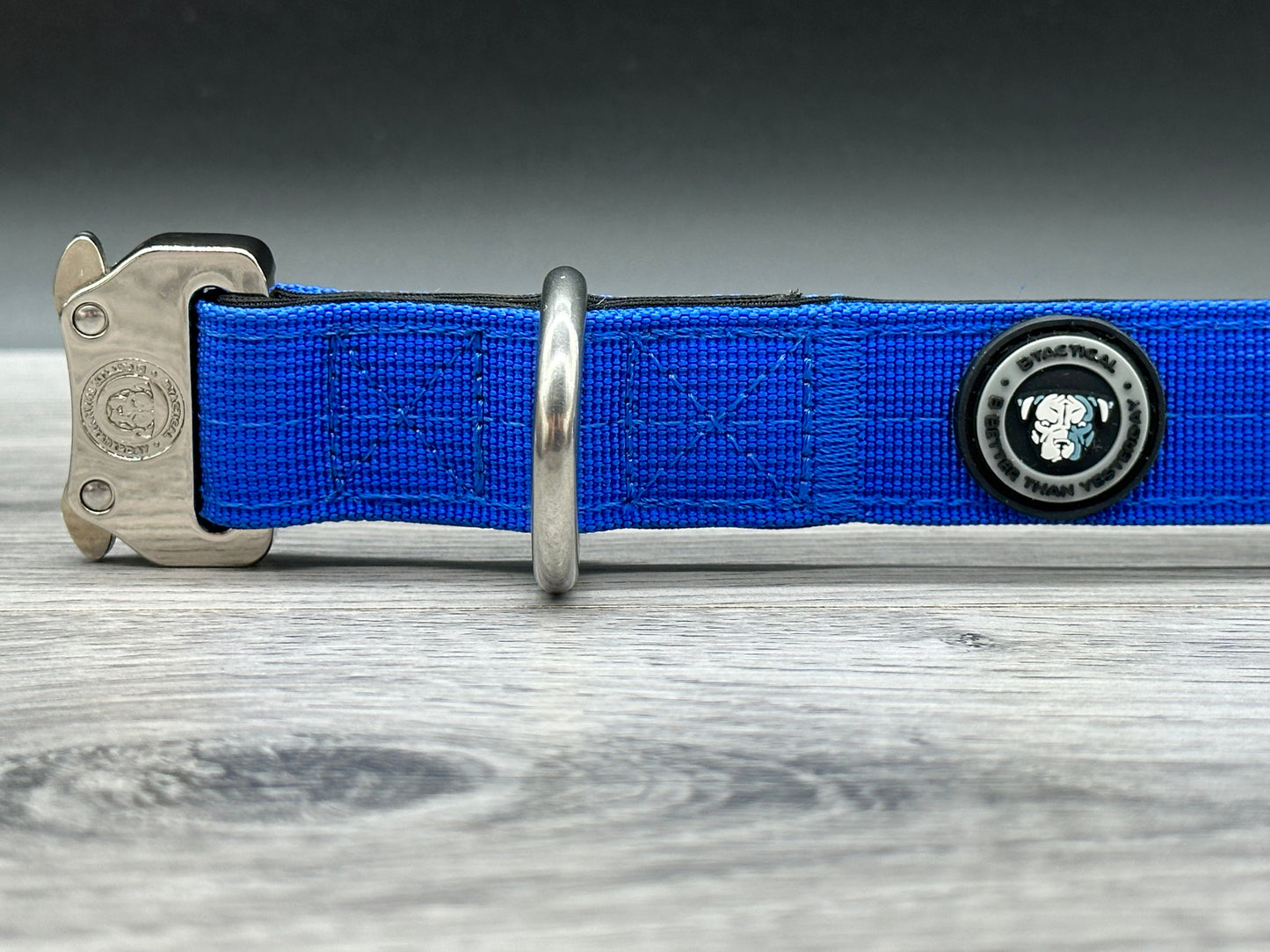 2.5cm BTactical Collar - Royal Blue | Durable Dog Collar