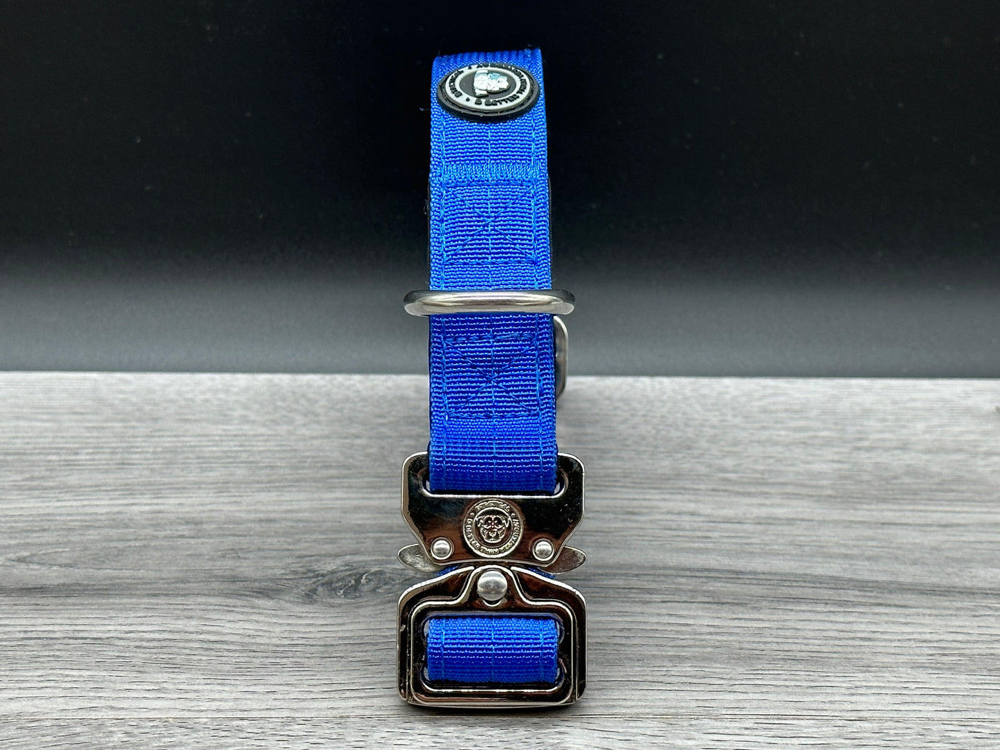 2.5cm BTactical Collar - Royal Blue | Durable Dog Collar